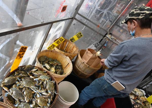 Shellfish