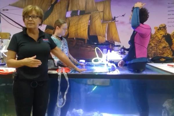 Photo of Brenda Ramer, the aquarium's founder and executive director, standing in front of a tank of water with a man in a wetsuit standing inside