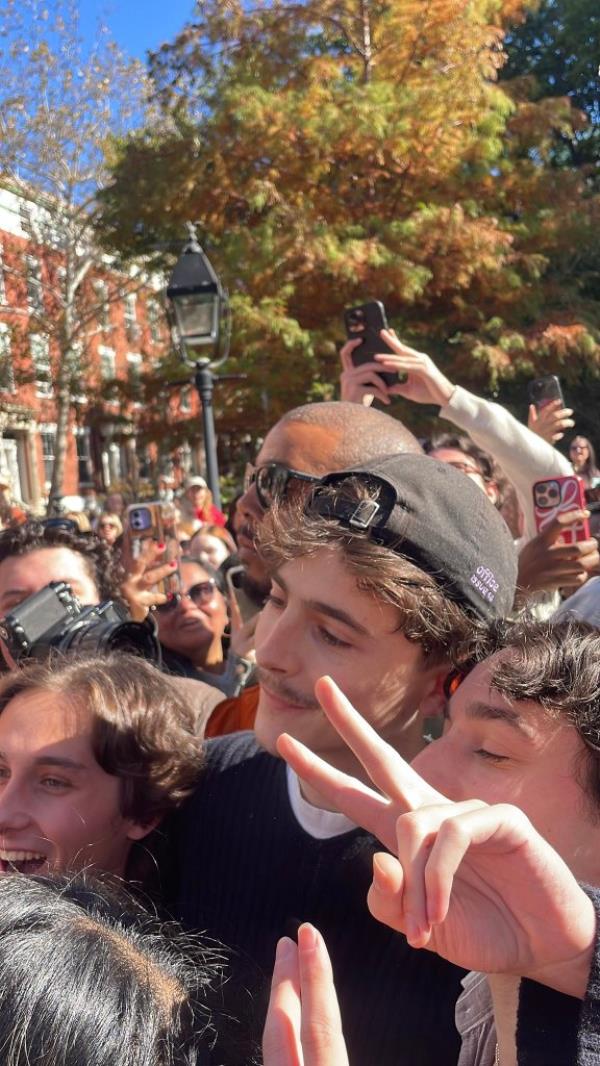 Chalamet's appearance came after a couple of NYPD cops and city Parks Department enforcement agents tried to break up the crowd of several hundred people, saying it was an unlawful gathering without a permit.