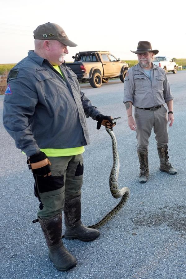 The annual Florida Python Challenge ended on Sunday.