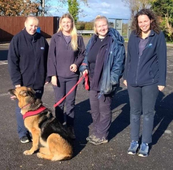 Bunny with RSPCA staff.