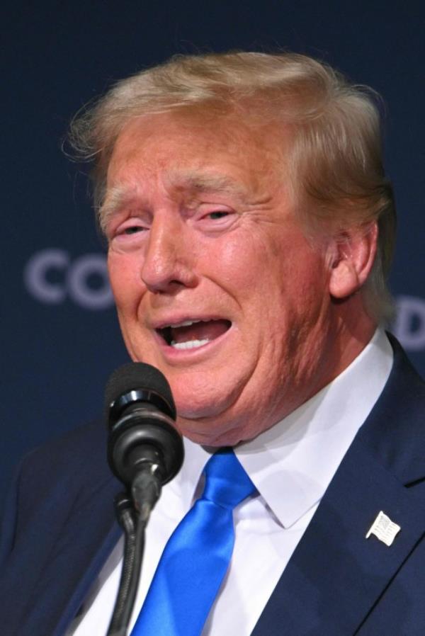 Former President Do<em></em>nald Trump previously suggested using an alligator moat at the southern border with Mexico