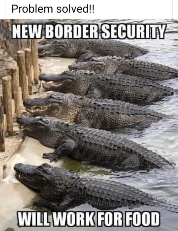 Former President Do<em></em>nald Trump shared a meme showing alligators as the 'new border security' 