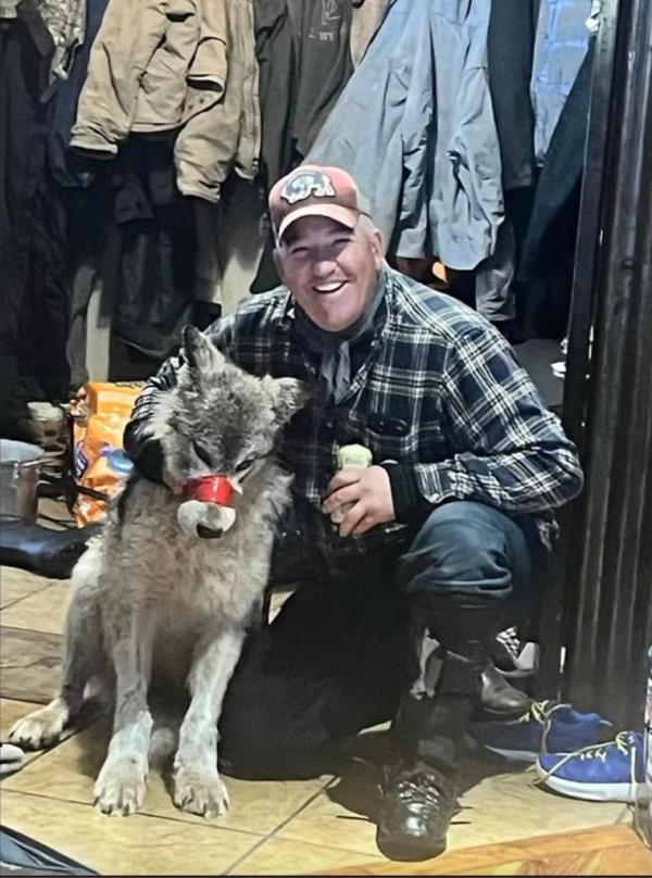 Cody Roberts, 42, holding up wounded wolf with its muzzle taped.