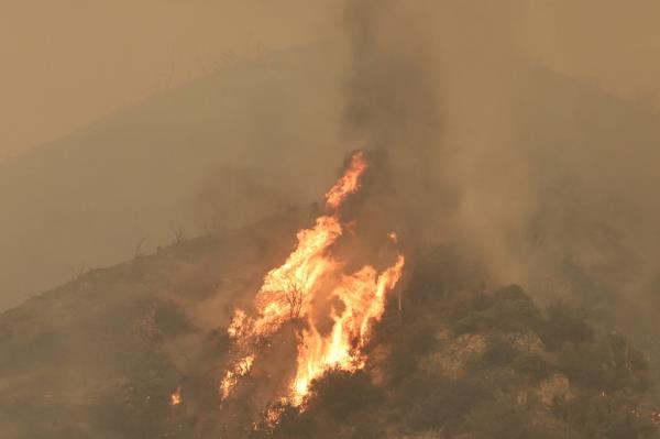 Mandatory evacuation orders have been issued for areas north and east of the fire including popular ski town Bear Bear.
