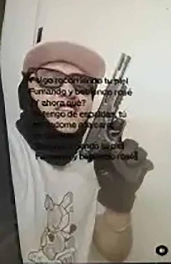 Social media posts show Ibarra posing with handguns, in violation of US law regarding undocu<em></em>mented migrants.