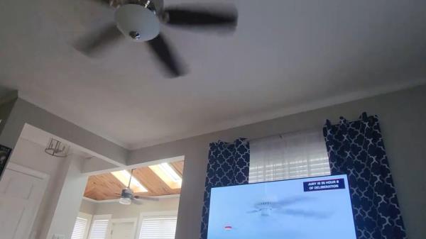 A user posted a photo of the fan from inside their home with ceiling fans.