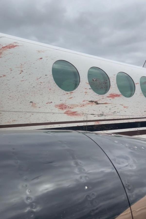 Blood stains left by the flock of birds that made the fatal mistake</p>

<p>　　of flying in front of a propeller plane.