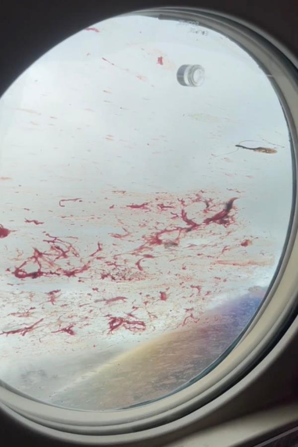 A photo of the blood stained window from inside the plane.