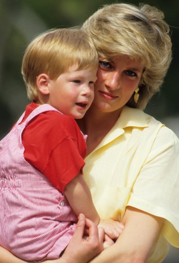 Royal expert Jennie Bond claimed that Princess Diana would've been the one who could have mended the relatio<em></em>nship between Prince Harry and Prince William. 