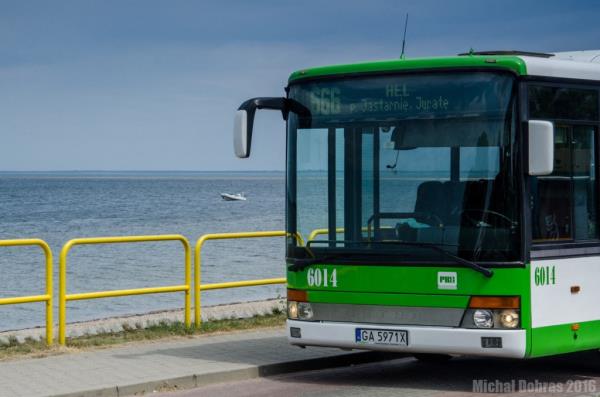 bus