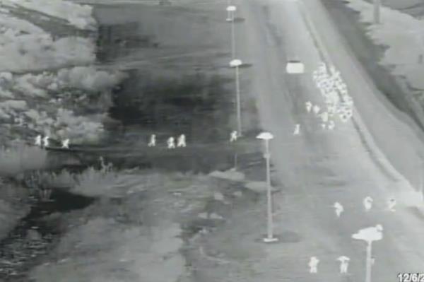 Around 75 migrants leaped over the wall at the Southern border into San Diego this week, video shows.