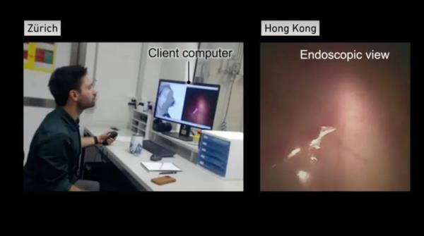 Surgeons in Switzerland successfully performing an endoscopic procedure on a pig 