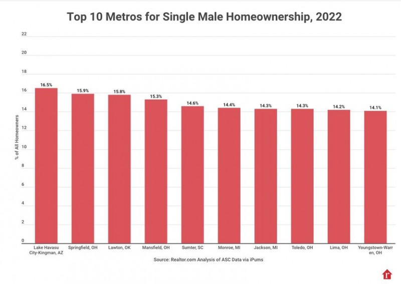 SINKs who buy houses