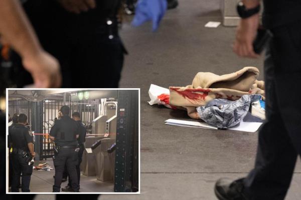 Bloody clothes and crime scene tape are at the scene. A man is stabbed at the East 138th Street and Grand Co<em></em>ncourse MTA subway train station in the Mott Haven section of Bronx, New York, United States, on September 24, 2024. On Tuesday morning at approximately 2:57 AM, a 45-year-old man sustains stab wounds to the chest and is listed in stable condition.</p>

<p>　　45-year-old Man Stabbed In The Chest At MTA Subway Train Station In Mott Haven Section Of Bronx New York, United States - 24 Sep 2024