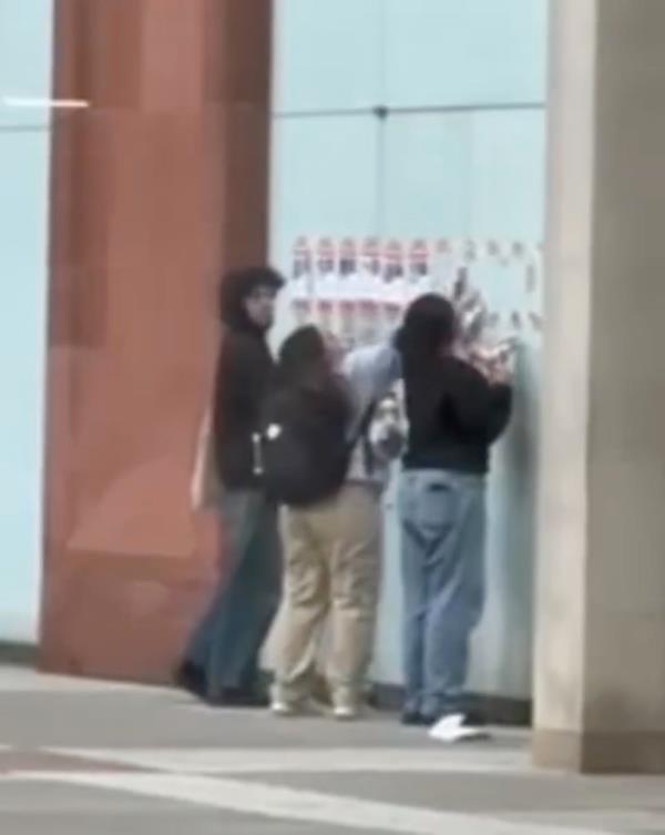 Students ripping down Israel posters. 