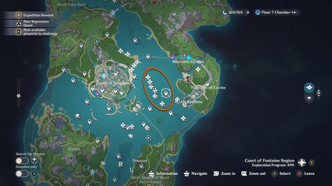 Genshin Impact in-game map showing a circled cluster of clover icons. The icons depict spawn locations for romaritime flowers. 