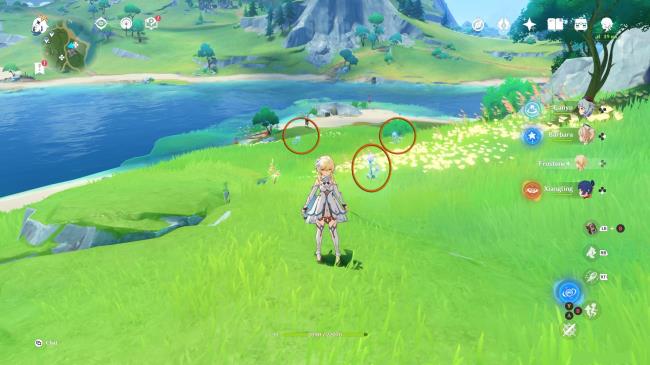 Genshin Impact traveler avatar standing on a grassy hillside with three romaritime flowers displayed in the background. 