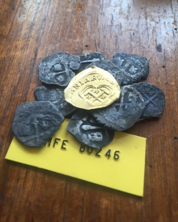 A group of centuries-old gold coins, recovered by the Florida Fish and Wildlife Co<em></em>nservation Commission, displayed on a table