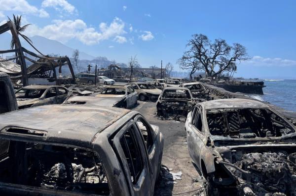 Burned out cars sit after a wildfire raged through Lahaina on Wednesday.