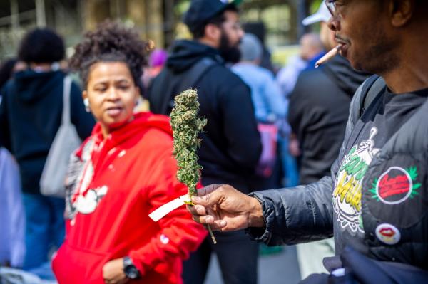 The decision comes as farmers are losing marijuana crops due to the state's slow rollout of licensed cannabis shops. 