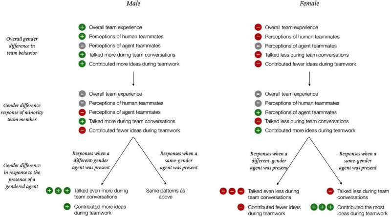 Female AI 'teammate' engenders more participation from women