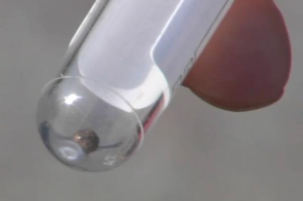 Blood tests also showed that 24-390 was suffering from lead poisoning, a co<em></em>ndition that affects over 75% of the bald eagles treated at the sanctuary.