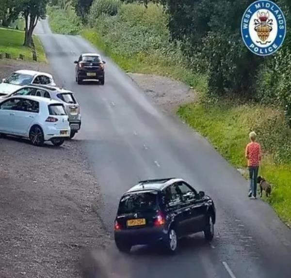 Gruesome CCTV footage shows Aish plowing down Patricia Faulker and killing her dog while speeding.