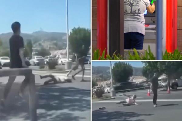 Caught-on-video California purse snatching.