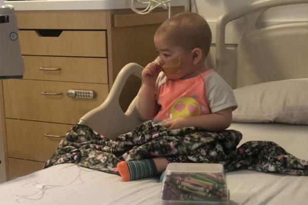 Pamela Reed admitted to shavin<em></em>g her young child's head in order to co<em></em>nvince people of her illnesses, cops said.