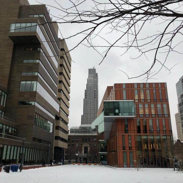 Barnard College</p>

<p>　　Pro-palestinian posters being taken down at the Barnard college