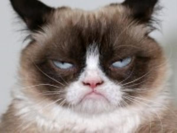 thumbnail for post ID 7258907