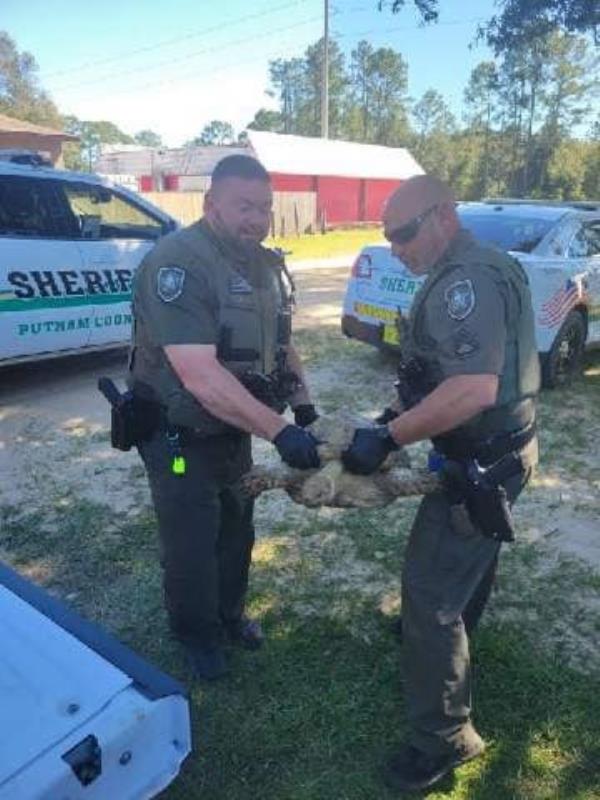 The incredible outcome was kickstarted when Putnam County deputies noticed 