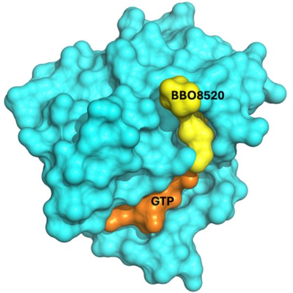 Image depicts a surface representation of the interaction among the cancer drug candidate, BBO-8520 (yellow)