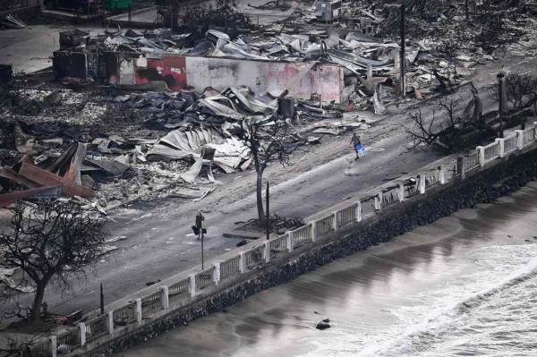 Scene of devastation in Hawaii.
