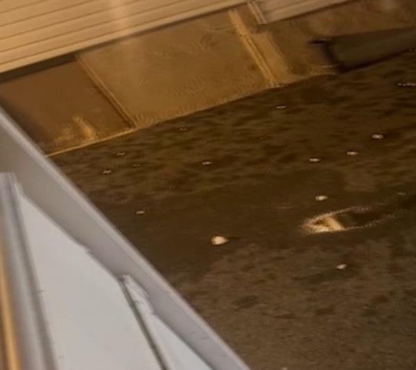 The family then rushed to the front of their house, wher<em></em>e they took a video of pieces of ice spread out all over the driveway.