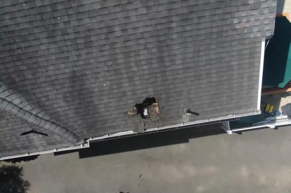  the Gomez family was seated at their backyard table less than 12 feet away from the impact zone