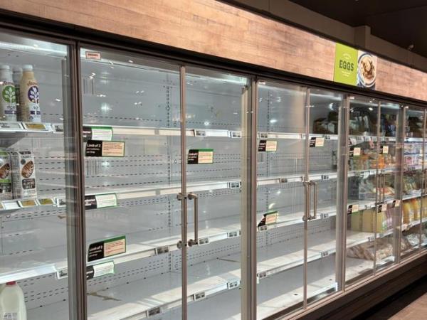 Empty egg shelves at Mortdale Woolworths. NewsWire