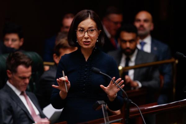 NSW Education Minister Prue Car in question time last week.