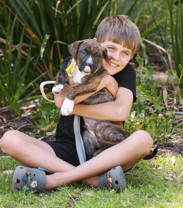 Grayson Van Niekerk 8yo with Hale, an 8 week old Mastiff cross ridgeback.