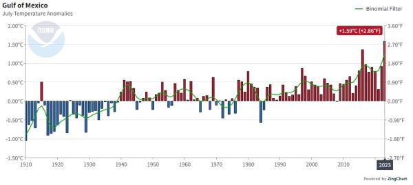 Gulf of Mexico July temperature data