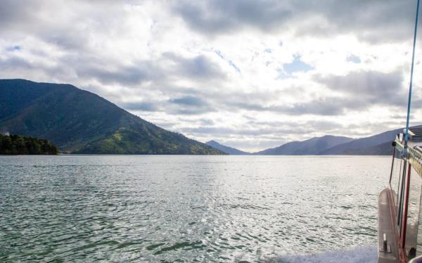 Marlborough Sounds - single use o<em></em>nly - Pelorus Sound