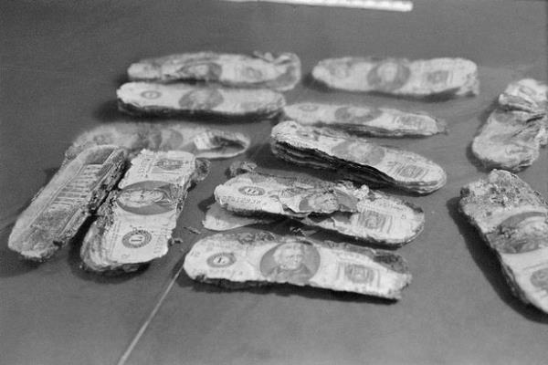 The badly decomposed $20 dollar bills
