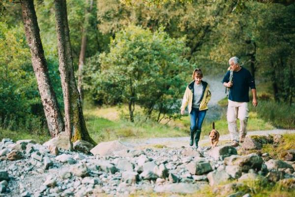 Dog walkers have been asked to be more co<em></em>nsiderate (stock)