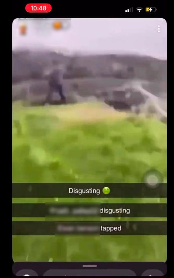 Police are now investigating the incident