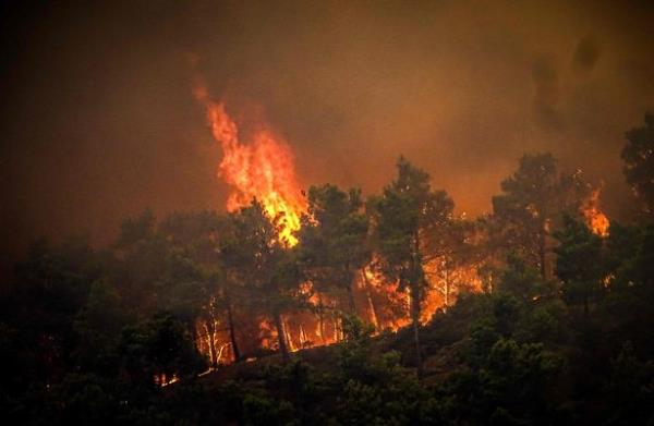 Hundreds of firefighters have been battling the blaze