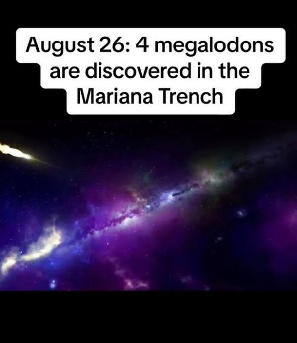 'Time traveller from 2858' claims to know when multiple megalodons will be discovered in August