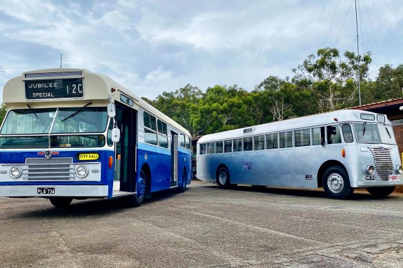 Vintage buses on display at the Brisbane Transport Museum.