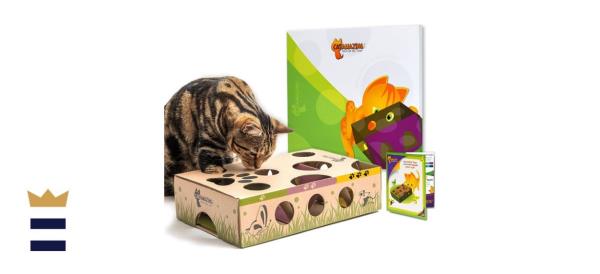 Cat Amazing Interactive Treat Maze & Puzzle Feeder